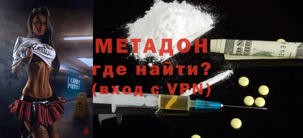 индика Новозыбков