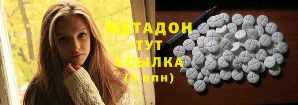 индика Новозыбков