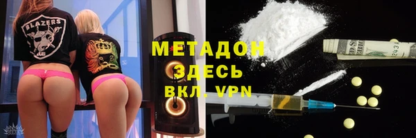 индика Новозыбков