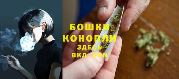 индика Новозыбков