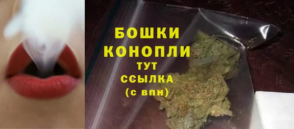 индика Новозыбков