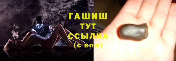 индика Новозыбков