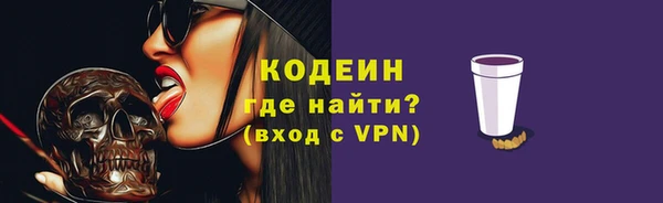 индика Новозыбков