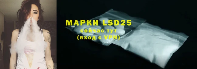 индика Новозыбков