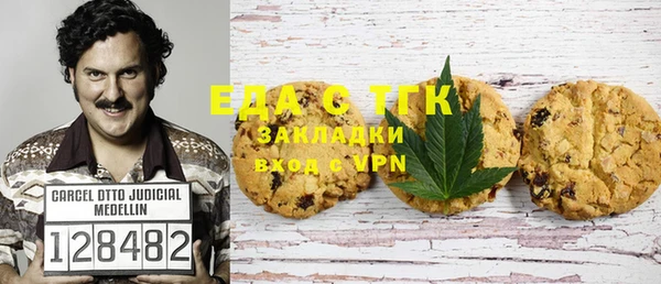 индика Новозыбков