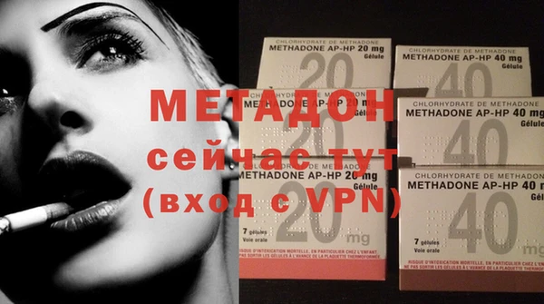индика Новозыбков