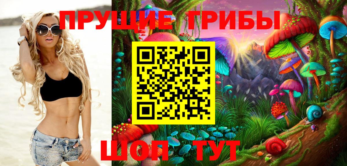 Галлюциногенные грибы Cubensis Родники