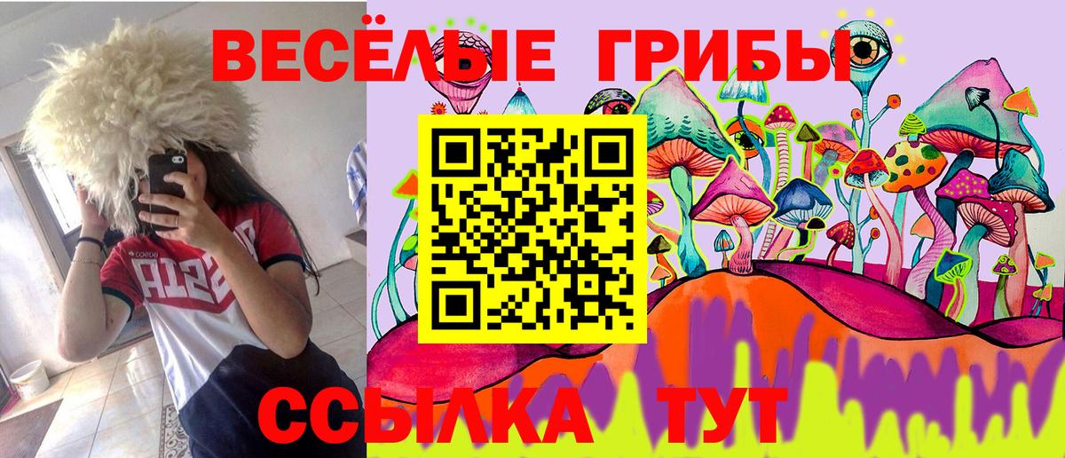 Галлюциногенные грибы мицелий  Вход с VPN  Родники 