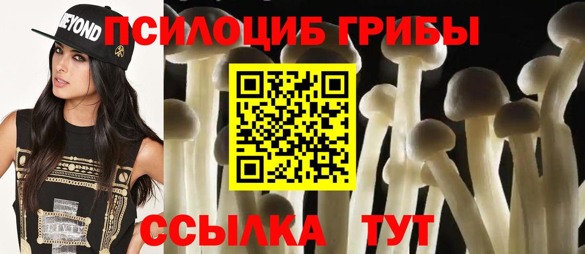 Псилоцибиновые грибы MAGIC MUSHROOMS  Родники 